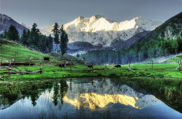 Joot, or Fairy Meadows in present-day Pakistan, from where once can see the north face of Nanga Parbat, the 9th highest mountain in the world